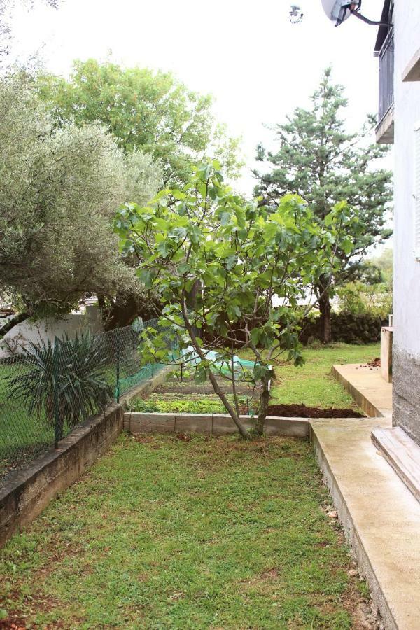 Turkovic Apartments Zgaljic Екстериор снимка
