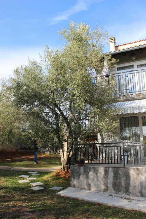 Turkovic Apartments Zgaljic Екстериор снимка